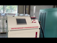 Janice-02. ¿ Qué haces?